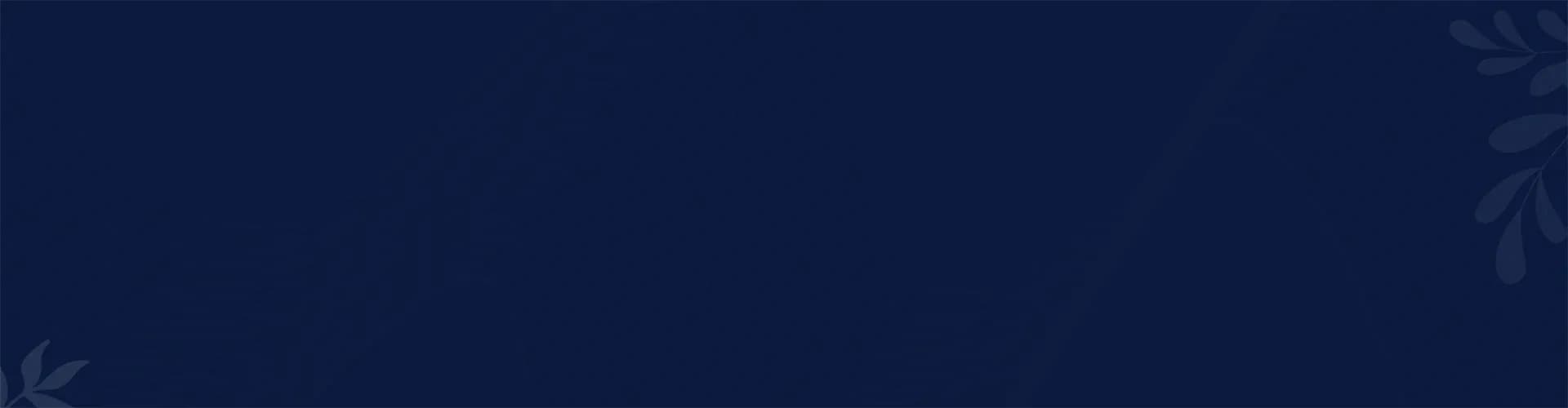 Promo Banner